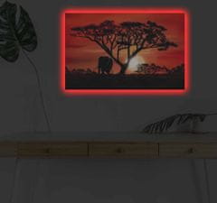 Wallity Obraz s LED osvětlením AFRICKÁ KRÁSA 53 45 x 70 cm