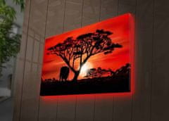 Wallity Obraz s LED osvětlením AFRICKÁ KRÁSA 53 45 x 70 cm