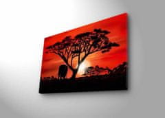 Wallity Obraz s LED osvětlením AFRICKÁ KRÁSA 53 45 x 70 cm