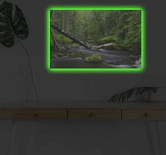 Wallity Obraz s LED osvětlením POTOK V LESE 03 45 x 70 cm