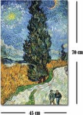 Wallity Reprodukce obrazu Vincent van Gogh 101 45 x 70 cm