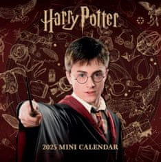 CurePink Oficiální nástěnný mini kalendář 2025: Harry Potter (17,8 x 17,8|35,6 cm)