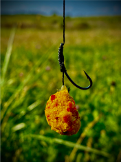 Lk Baits CUC! RAISIN Plum 50g