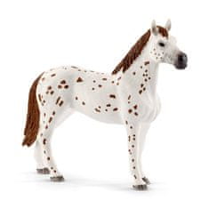 Schleich Appalosští koně a tréninkové příslušenstí set