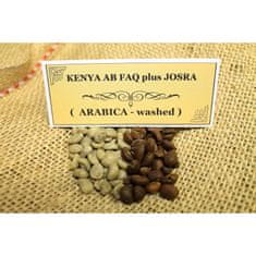 COFFEEDREAM Káva KENYA JOSRA - Gramáž: 100g, Typ kávy: Zrnková, Způsob balení: třívrstvý sáček se zipem