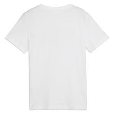 Puma Trička Squad Big Graphic Tee 68277202