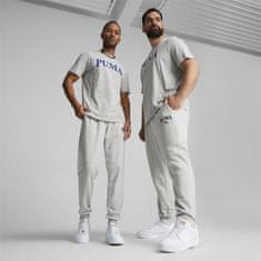 Puma Tričko šedé L Squad Graphic Tee