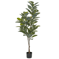 shumee Umělá rostlina FICUS ELASTICA 160 cm