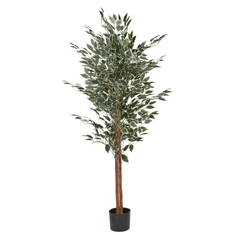 shumee Umělá rostlina FICUS 167 cm