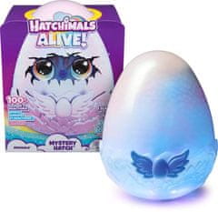 Spin Master Hatchimals Líhnoucí se interaktivní zvířátko Dráček