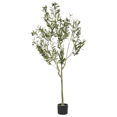 shumee Umělá rostlina OLIVE TREE 153 cm