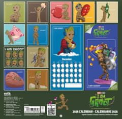 CurePink Oficiální nástěnný kalendář Marvel Comics: I Am Groot 2025 s plakátem (SQ 30 x 30|60 cm)