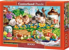 Castorland Puzzle Dřímající koťata 1000 dílků