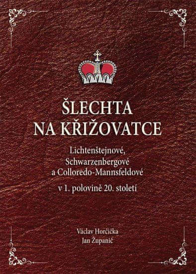 Šlechta na křižovatce - Lichtenštejnové, Schwarzenbergové a Colloredo-Mannsfeldové v 1. polovině 20. století