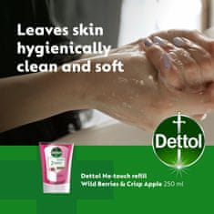 Dettol Náplň do bezdot. dávkovače Vůně lesního ovoce 250 ml