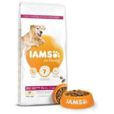 IAMS Krmivo Dog Senior Large Chicken 12kg