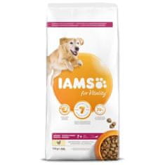 IAMS Krmivo Dog Senior Large Chicken 12kg