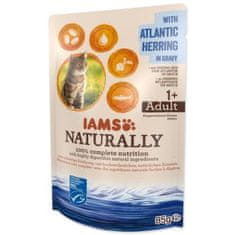 IAMS Kapsička Naturally Adult sleď v omáčce 85g