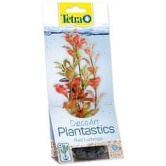 Tetra Dekorace Rostlina Red Ludwigia S 15cm