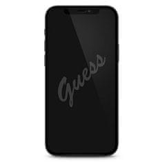 Guess TVRZENÉ SKLO GUESS GUSPP12SSLTR IPHONE 12 MINI 5,4" VINTAGE MAGIC LOGO