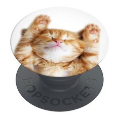 PopSockets POPSOCKETS 2 SNOOZY CAT 70072 DRŽÁK NA TELEFON A STOJÁNEK - ZÁKLADNÍ