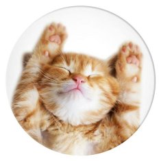 PopSockets POPSOCKETS 2 SNOOZY CAT 70072 DRŽÁK NA TELEFON A STOJÁNEK - ZÁKLADNÍ