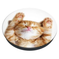 PopSockets POPSOCKETS 2 SNOOZY CAT 70072 DRŽÁK NA TELEFON A STOJÁNEK - ZÁKLADNÍ