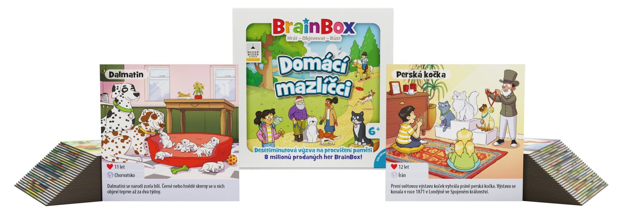 Asmodee BrainBox Domácí mazlíčci