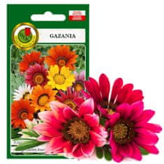 BOBIMARKET gazania vícebarevná dlouho kvetoucí nasiona 0,8g