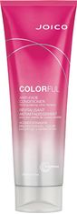 JOICO Kondicionér na barvené vlasy ColorFul (Anti-Fade Conditioner) (Objem 250 ml)