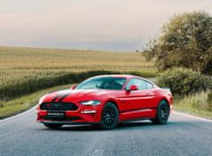 Allegria pronájem Fordu Mustang Coyote V8 - 48hodin Stéblová - Pardubice