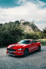 Allegria jízda ve Fordu Mustang Coyote V8 - 60min Stéblová - Pardubice