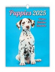 Kalendář nástěnný 2025 - Puppies / Welpen / Štěňátka / Šteniatka