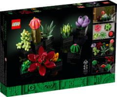 KECJA Lego 10309 Creator Sukulenty