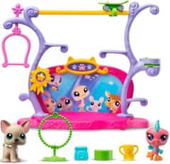 Littlest Pet Shop LPS Hrací sada: Talentovaná zvířátka