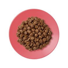 Applaws granule Cat Adult Kuře s kachnou 7,5kg