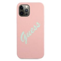 Guess GUHCP12MLSVSPG hard silikonové pouzdro iPhone 12 / 12 Pro 6.1" green-pink Silicone Vintage