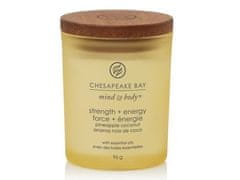 Chesapeake Bay Malá vonná svíčka Strength & Energy 96 g