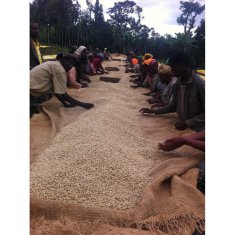 COFFEEDREAM Káva ETIOPIE YIRGACHEFFE GEDEB Gr. 1 - Gramáž: 250g, Typ kávy: Jemné mletí - český turek, Způsob balení: běžný třívrstvý sáček