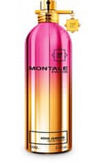 Montale Paris Aoud Jasmine - EDP - TESTER 100 ml