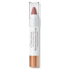 Tónující balzám na rty s hydratačním účinkem Artist Secret Pink (Comfort Lip Balm) 2,5 g