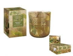 Svíčka ve skle GOLDEN GINKO - GREENERY SHADES 150g