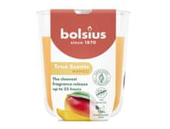 Svíčka ve skle TRUE SCENTS MANGO vonná 125g d7x8cm