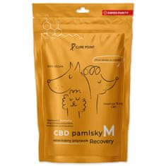 Pochoutka CBD Recovery M 100g