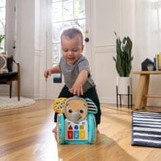 Baby Einstein Hračka hudební interaktivní Chase & Tap Earl 6m+