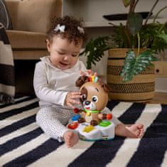 Baby Einstein Hračka hudební vzdělávací Drum & Learn Dean 6m+