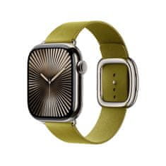 Apple Watch Acc/42/Chartreuse Modern Buckle - Large