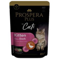 Kapsička Prospera Plus Kitten, Duck, Green Beans 85g