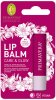 Vyživující balzám na rty Care & Glow (Lip Balm) 4,6 g