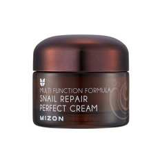 MIZON Pleťový krém s filtrátem hlemýždího sekretu 60% pro problematickou pleť (Snail Repair Perfect Cream) 50 ml